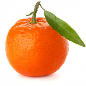 مندلينا