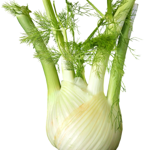 شومر