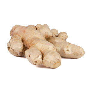 زنجبيل